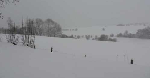 Paysage hiver warnach 1bis